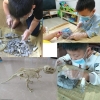 3D Plastikowy model dinozaura do wydobycia z gliny - Velociraptor [13180000406]